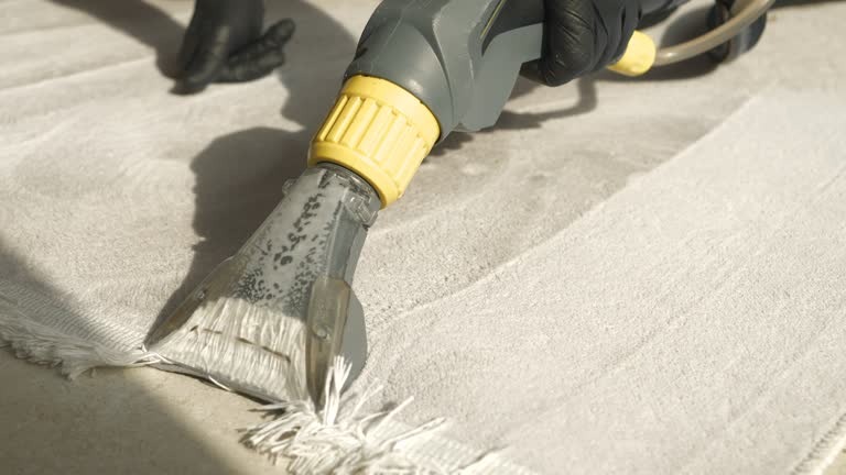 Bring Back Rug Beauty with Rug Cleaning Phoenix