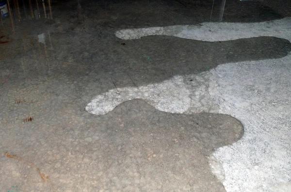 Affordable Solutions for Crawl Space Repair in Prince George